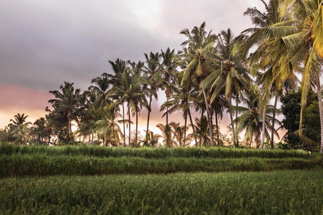 The Luxe Ubud Exteriér fotografie